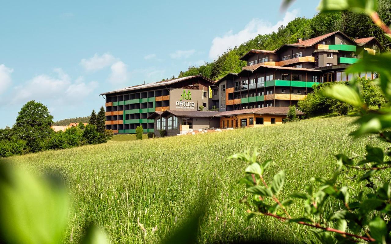 Natura Hotel Bodenmais - Inkl Soft- Und Heissgetraenkeflat 외부 사진
